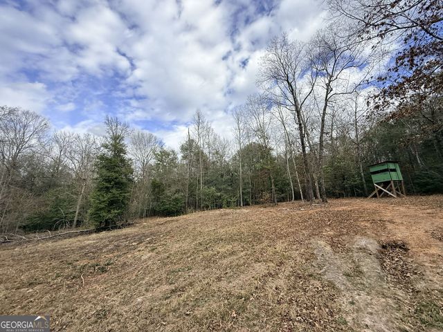 301 Beaver Dam Road, Toomsboro, GA 31090