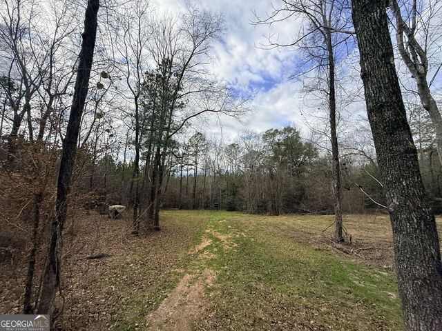 301 Beaver Dam Road, Toomsboro, GA 31090