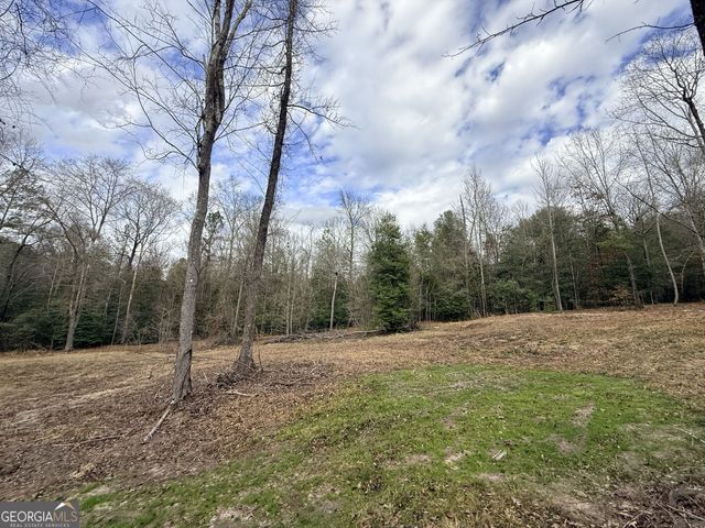 301 Beaver Dam Road, Toomsboro, GA 31090