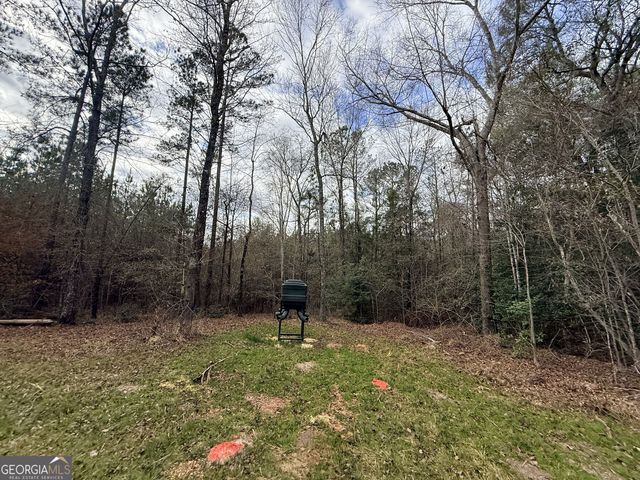 301 Beaver Dam Road, Toomsboro, GA 31090