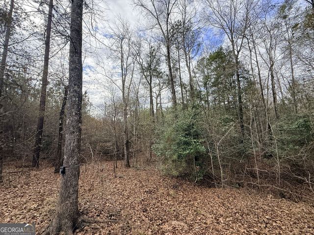 301 Beaver Dam Road, Toomsboro, GA 31090