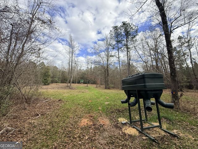 301 Beaver Dam Road, Toomsboro, GA 31090