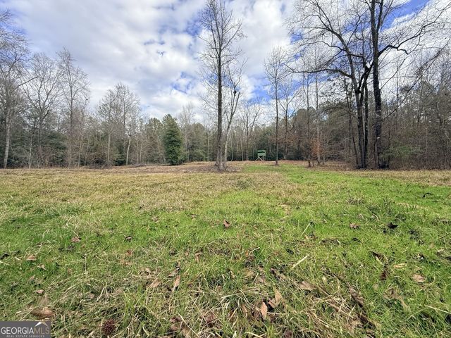 301 Beaver Dam Road, Toomsboro, GA 31090