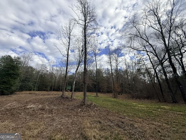 301 Beaver Dam Road, Toomsboro, GA 31090