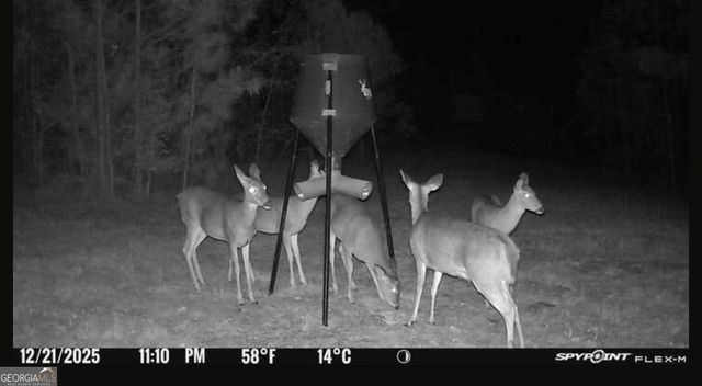 301 Beaver Dam Road, Toomsboro, GA 31090