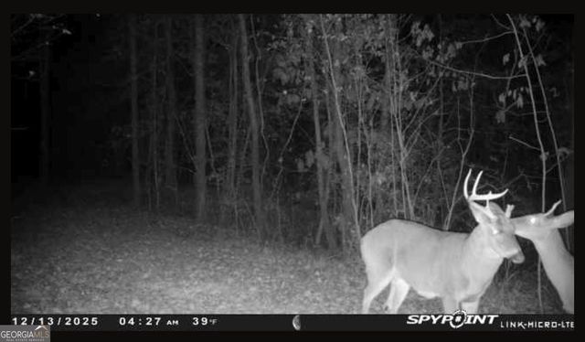 301 Beaver Dam Road, Toomsboro, GA 31090