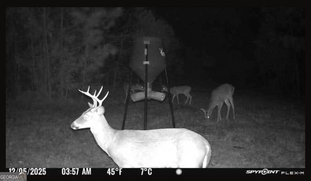 301 Beaver Dam Road, Toomsboro, GA 31090