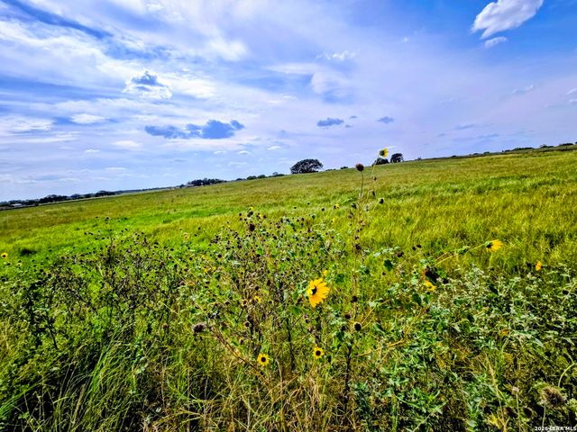 TBD Fm472, Bigfoot, TX 78005