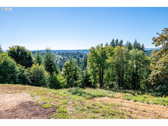 18209 Ne PEG Rd, Yacolt, WA 98675