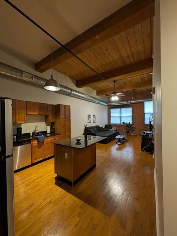 160 Fremont 213, Worcester, MA 01603