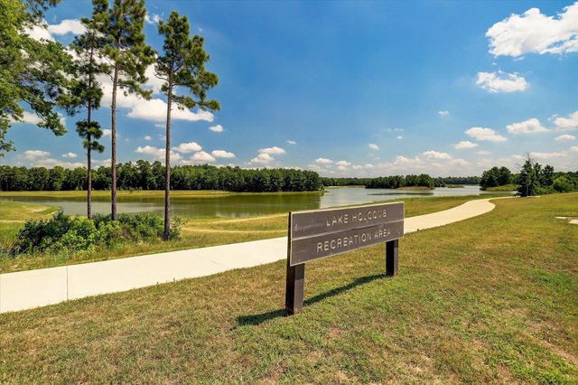 3805 Enchanted Timbers Lane, Spring, TX 77386