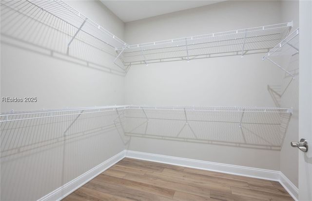 153 Jack Crevalle Way, Bluffton, SC 29909