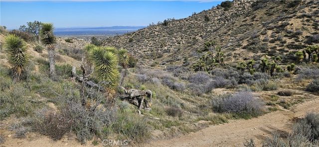 8243 Simson Rd, Pinon Hills, CA 92372