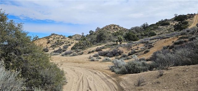 8243 Simson Rd, Pinon Hills, CA 92372