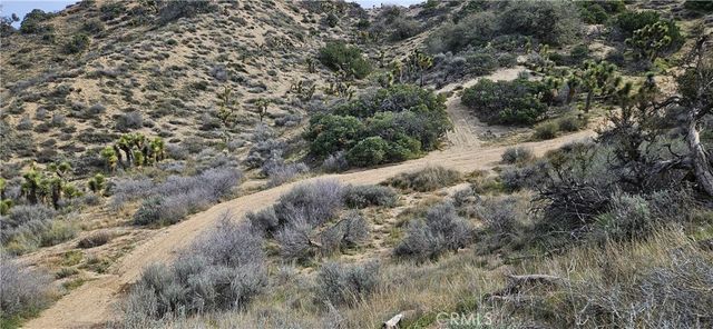 8243 Simson Rd, Pinon Hills, CA 92372
