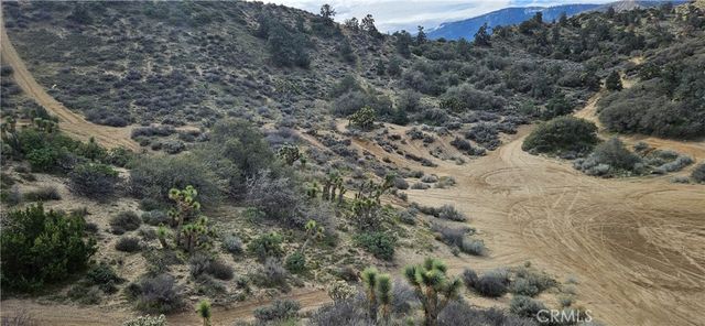8243 Simson Rd, Pinon Hills, CA 92372