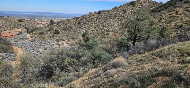 8243 Simson Rd, Pinon Hills, CA 92372