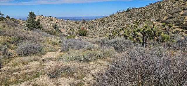 8243 Simson Rd, Pinon Hills, CA 92372