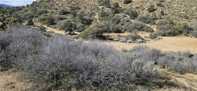 8243 Simson Rd, Pinon Hills, CA 92372