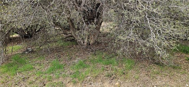 8243 Simson Rd, Pinon Hills, CA 92372
