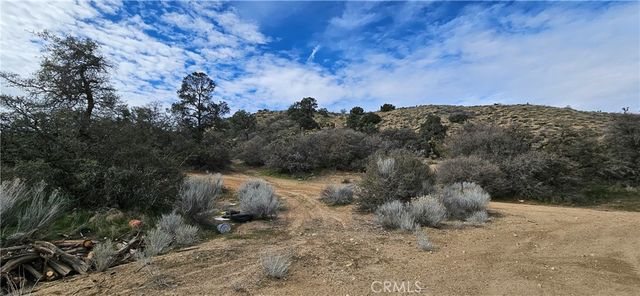 8243 Simson Rd, Pinon Hills, CA 92372