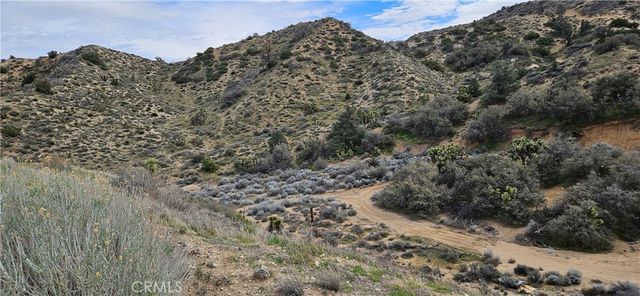 8243 Simson Rd, Pinon Hills, CA 92372