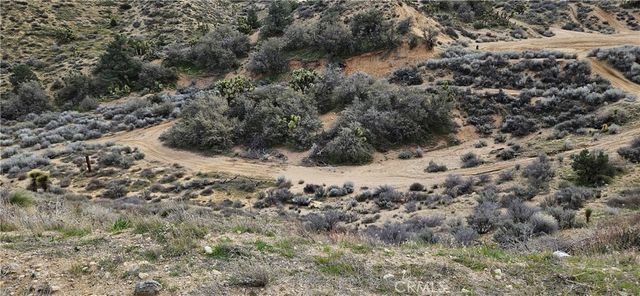 8243 Simson Rd, Pinon Hills, CA 92372