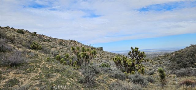 8243 Simson Rd, Pinon Hills, CA 92372