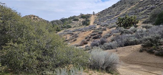 8243 Simson Rd, Pinon Hills, CA 92372