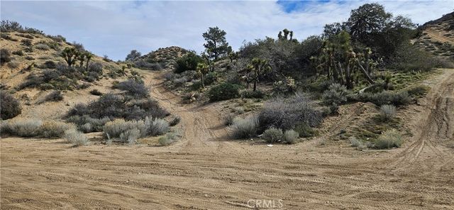 8243 Simson Rd, Pinon Hills, CA 92372
