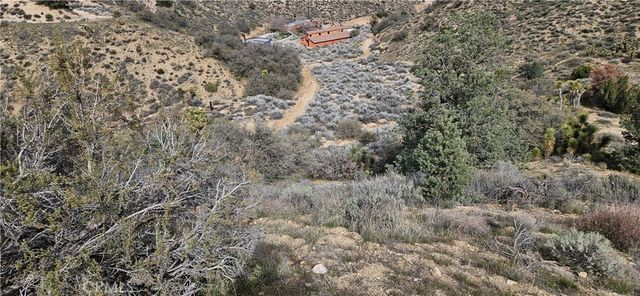 8243 Simson Rd, Pinon Hills, CA 92372