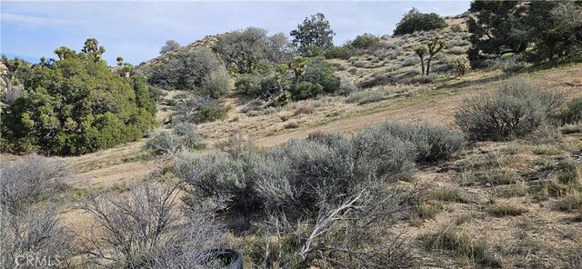 8243 Simson Rd, Pinon Hills, CA 92372