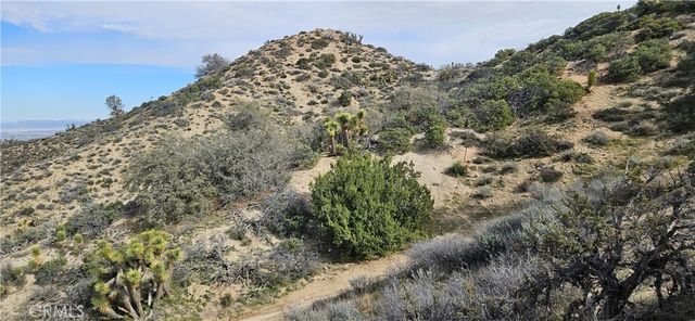 8243 Simson Rd, Pinon Hills, CA 92372