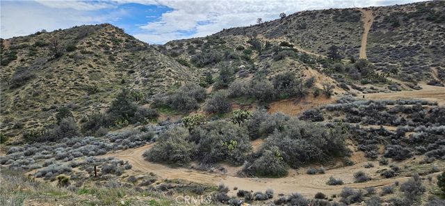 8243 Simson Rd, Pinon Hills, CA 92372