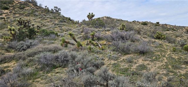 8243 Simson Rd, Pinon Hills, CA 92372