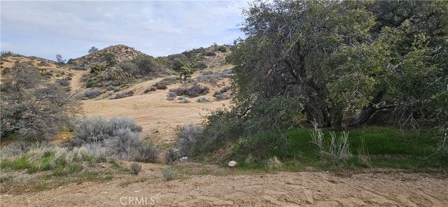 8243 Simson Rd, Pinon Hills, CA 92372
