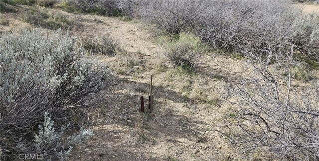 8243 Simson Rd, Pinon Hills, CA 92372