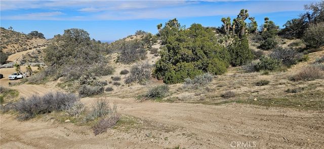 8243 Simson Rd, Pinon Hills, CA 92372