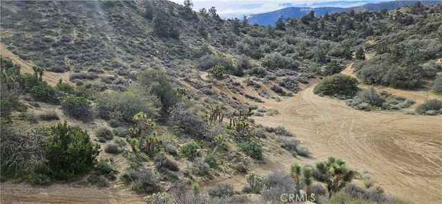 8243 Simson Rd, Pinon Hills, CA 92372
