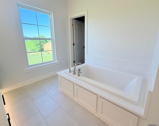36176 Belle Parc Ave, Geismar, LA 70734
