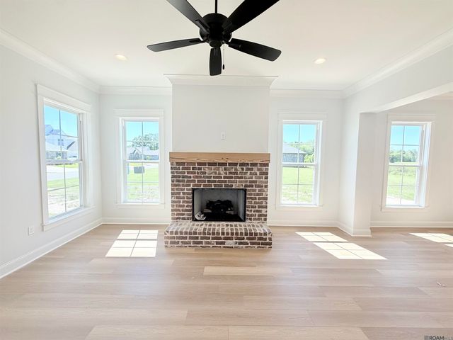 36176 Belle Parc Ave, Geismar, LA 70734