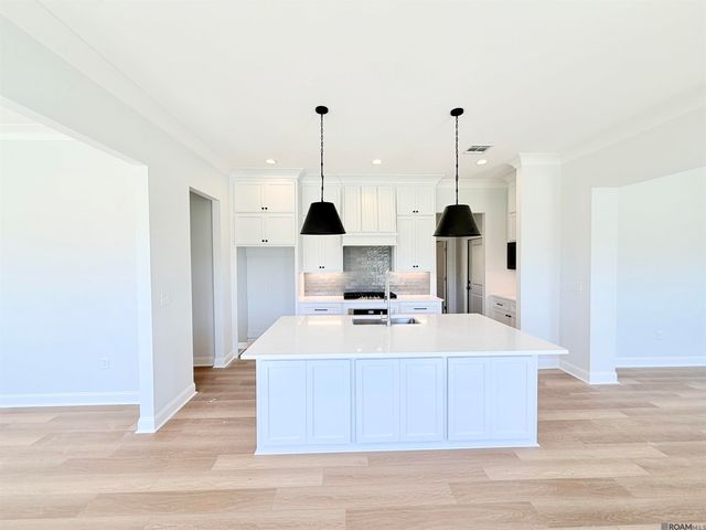 36176 Belle Parc Ave, Geismar, LA 70734
