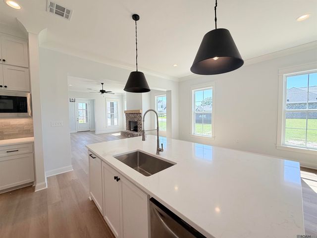 36176 Belle Parc Ave, Geismar, LA 70734
