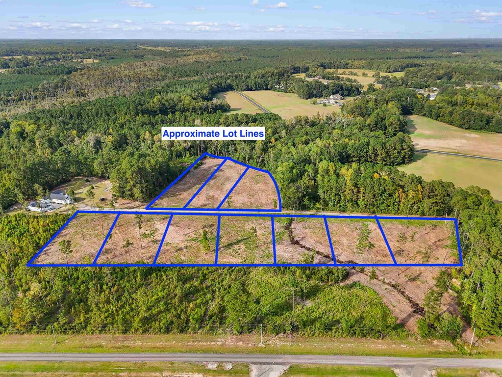 TBD Cane Branch Church Rd., Conway, SC 29527 — photo 2
