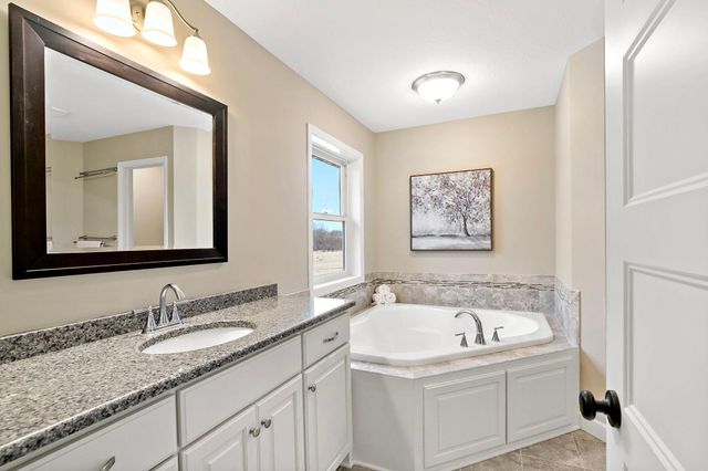 17163 Hollyhock Court, Lakeville, MN 55044