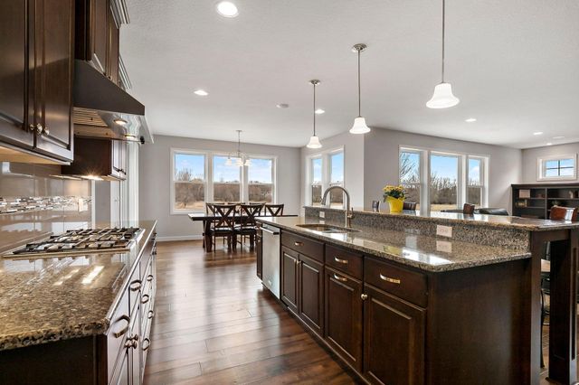 17163 Hollyhock Court, Lakeville, MN 55044