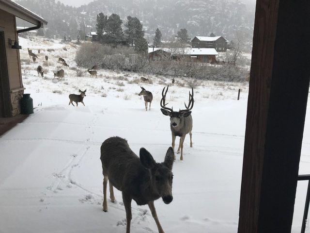 285 Indian Trl, Estes Park, CO 80517