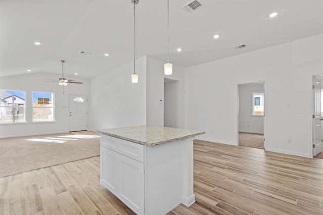 241 Ironshoe TRL, Liberty Hill, TX 78642