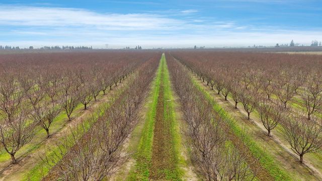 23346 S Frederick Rd, Ripon, CA 95366