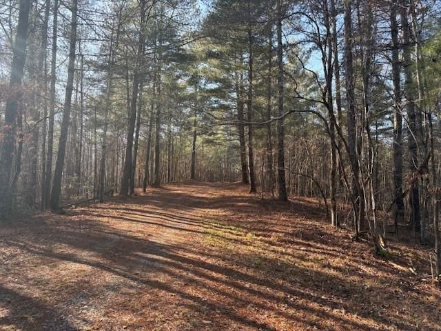 Lot 2 Swan Bridge Road, Talking Rock, GA 30175